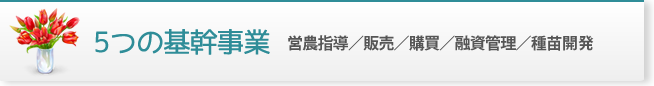 5つの基幹事業