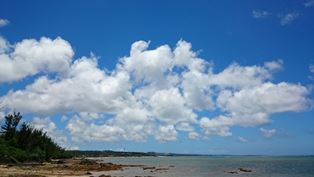 海空（Web大）