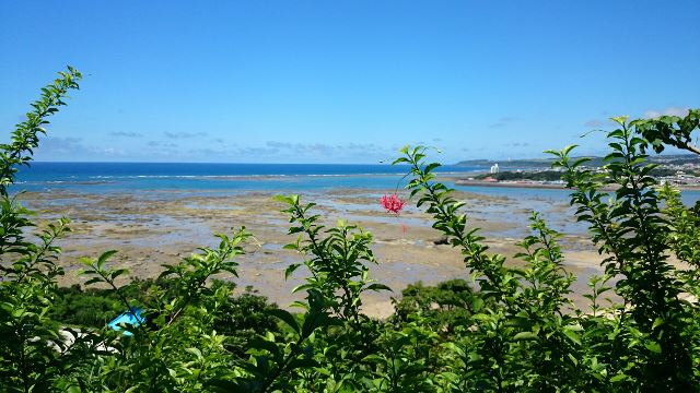 山 海 茶屋⑨　(Web大)