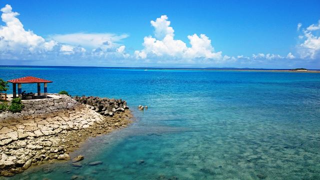 海② (Web大)