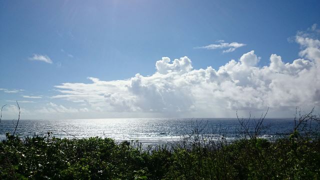 風景⑦（電子メール大）