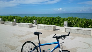 自転車・海②（電子メール大）