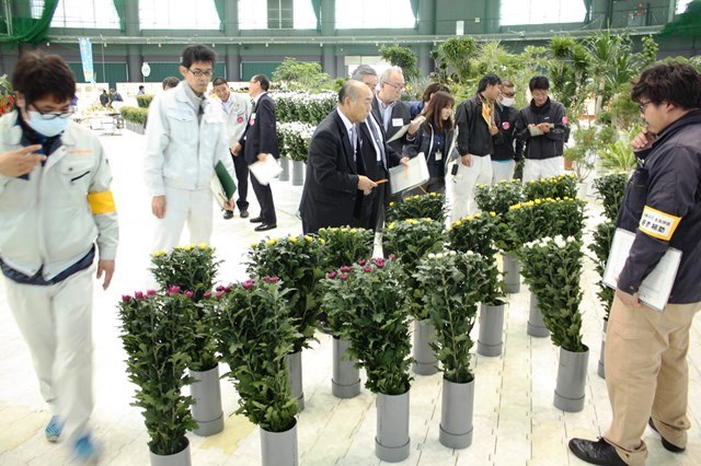 2018花卉品評会（Web大）