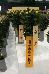 農林水産大臣賞（電子メール大）