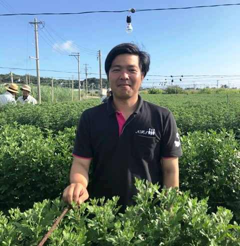 新垣大策（Ｗｅｂ大）