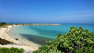 海・風景⑤（電子メール大）