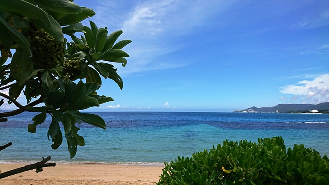 風景・海①(Ｗｅｂ大)