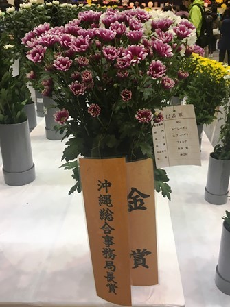 20190125花き品評会⑤（Ｗｅｂ小）