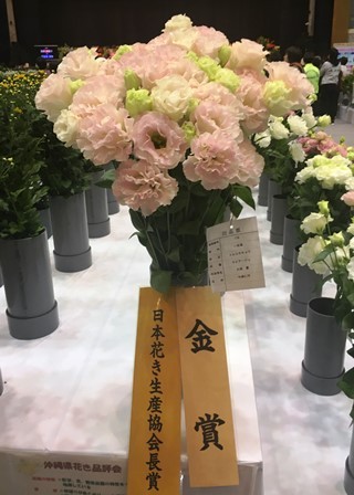 20190125花き品評会⑦（Ｗｅｂ小）