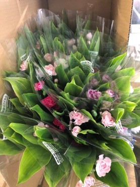 葉物・洋花パック⑧ Web大