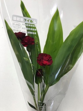 葉物・洋花パック⑦ Web大