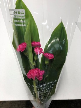 葉物・洋花パック⑤ Web大