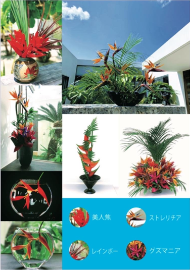 太陽の花　葉物・熱帯花きポスター②