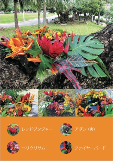 太陽の花　葉物・熱帯花きポスター③