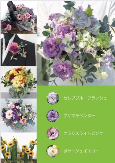 太陽の花　葉物・熱帯花きポスター⑤