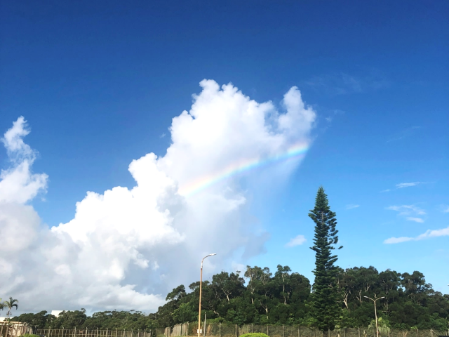 夏空