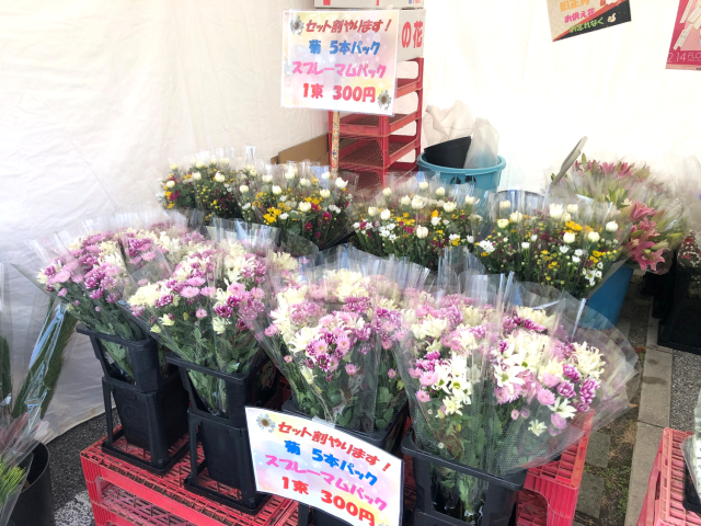 おきなわ花と食のフェスティバル④