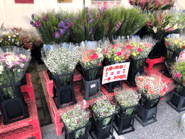 おきなわ花と食のフェスティバル⑤