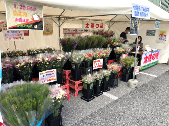 おきなわ花と食のフェスティバル③