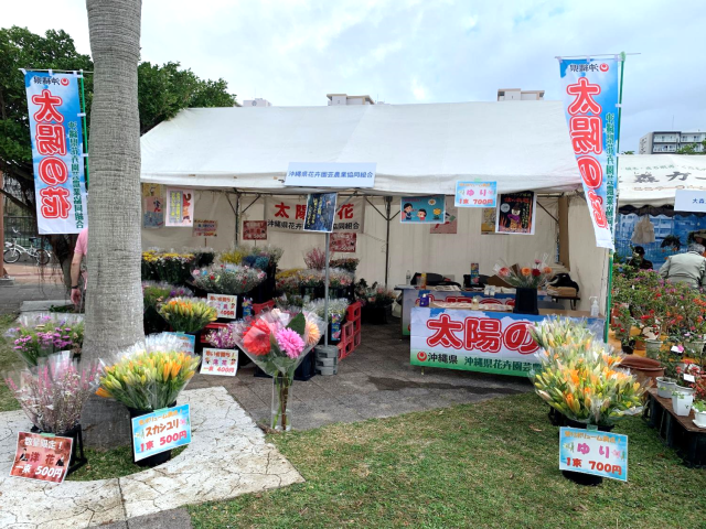 花と食フェス (1)