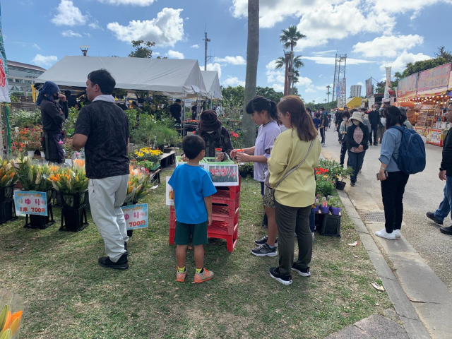 花と食フェス (10)