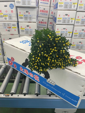 出荷物1