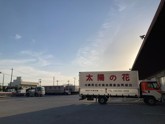 夕焼け