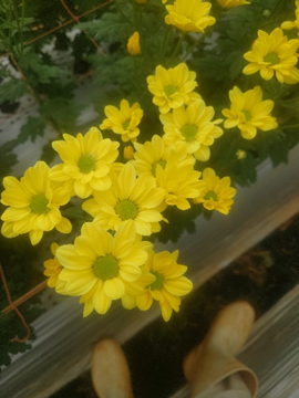 企画②