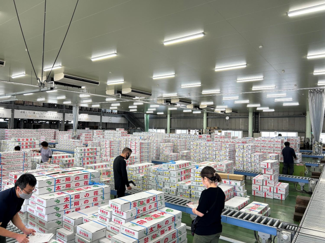 年末商戦が始まりました②