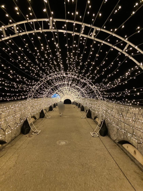 イルミネーション