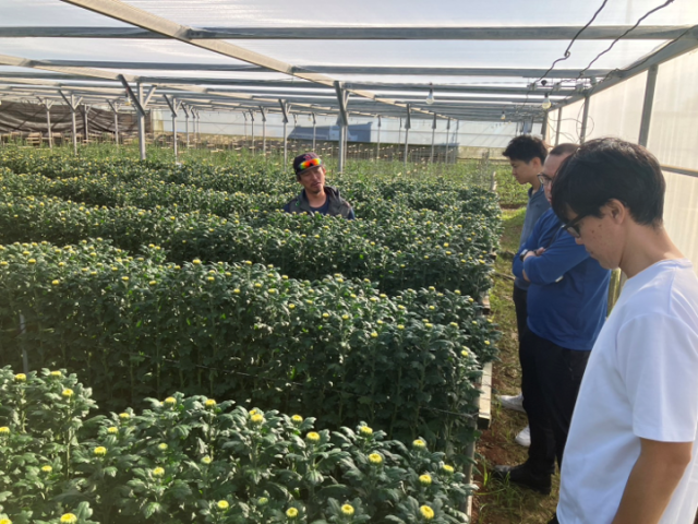 伊江島現地検討