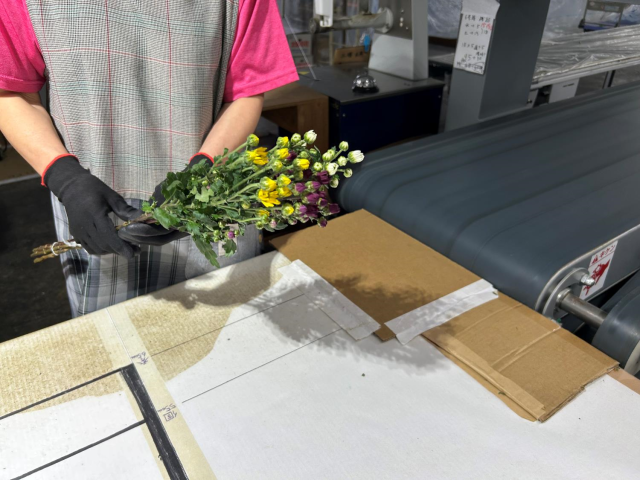 花束パック4