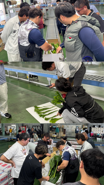 葉物目ぞろい会