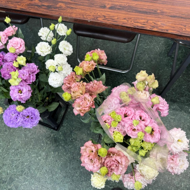 トルコキキョウ勉強会③