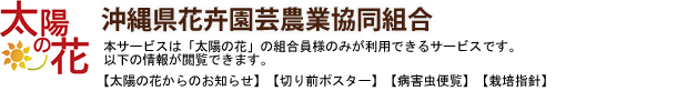 太陽の花 沖縄県花卉園芸農業協同組合